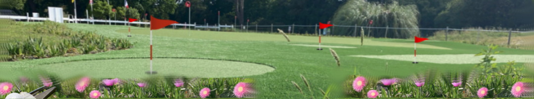 Balata 20 route de l océan à GRAYAN