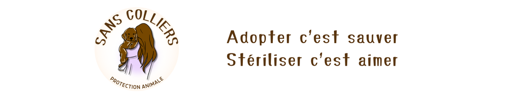 adopter c'est sauver stériliser c'est aimer