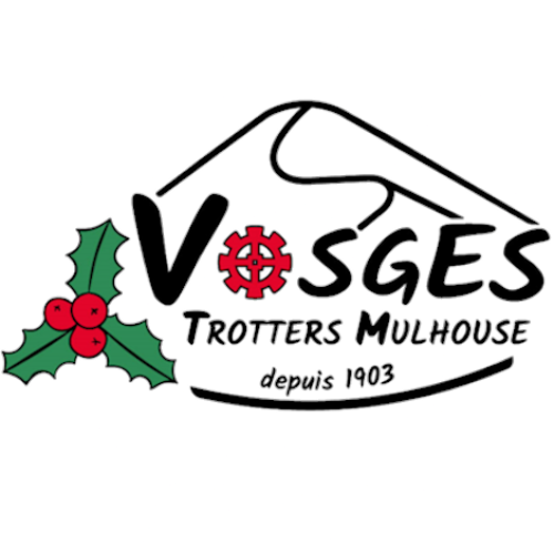 Logo VTM