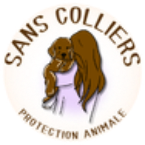 association sans colliers protection animale sauvetage adoption chien
