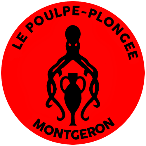 logo poulpe